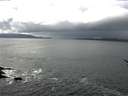 ./images/koeye/fitz-hugh/20170325/fitz-hugh20170325_135702.jpg
