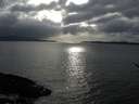 ./images/koeye/fitz-hugh/20170325/fitz-hugh20170325_175703.jpg