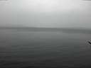 ./images/koeye/fitz-hugh/20170326/fitz-hugh20170326_115706.jpg
