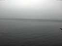 ./images/koeye/fitz-hugh/20170326/fitz-hugh20170326_121501.jpg