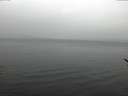 ./images/koeye/fitz-hugh/20170326/fitz-hugh20170326_121801.jpg