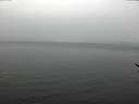 ./images/koeye/fitz-hugh/20170326/fitz-hugh20170326_122102.jpg