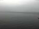 ./images/koeye/fitz-hugh/20170326/fitz-hugh20170326_122402.jpg