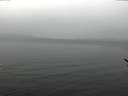 ./images/koeye/fitz-hugh/20170326/fitz-hugh20170326_122701.jpg