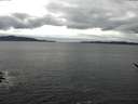 ./images/koeye/fitz-hugh/20170327/fitz-hugh20170327_115707.jpg