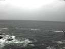 ./images/koeye/fitz-hugh/20170328/fitz-hugh20170328_115701.jpg