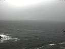 ./images/koeye/fitz-hugh/20170328/fitz-hugh20170328_121801.jpg