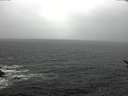 ./images/koeye/fitz-hugh/20170328/fitz-hugh20170328_122102.jpg