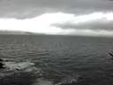 ./images/koeye/fitz-hugh/20170328/fitz-hugh20170328_155703.jpg