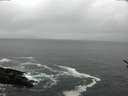 ./images/koeye/fitz-hugh/20170328/fitz-hugh20170328_175703.jpg