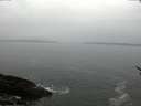 ./images/koeye/fitz-hugh/20170329/fitz-hugh20170329_095703.jpg