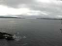 ./images/koeye/fitz-hugh/20170329/fitz-hugh20170329_115707.jpg