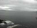 ./images/koeye/fitz-hugh/20170329/fitz-hugh20170329_121503.jpg