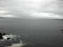 ./images/koeye/fitz-hugh/20170329/fitz-hugh20170329_121803.jpg