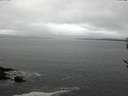 ./images/koeye/fitz-hugh/20170329/fitz-hugh20170329_122103.jpg