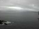./images/koeye/fitz-hugh/20170329/fitz-hugh20170329_122402.jpg