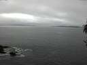 ./images/koeye/fitz-hugh/20170329/fitz-hugh20170329_122703.jpg