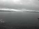 ./images/koeye/fitz-hugh/20170329/fitz-hugh20170329_135703.jpg