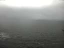 ./images/koeye/fitz-hugh/20170329/fitz-hugh20170329_155702.jpg