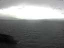 ./images/koeye/fitz-hugh/20170401/fitz-hugh20170401_135704.jpg