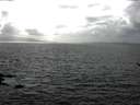 ./images/koeye/fitz-hugh/20170401/fitz-hugh20170401_155703.jpg