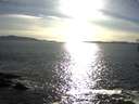./images/koeye/fitz-hugh/20170403/fitz-hugh20170403_175702.jpg