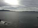 ./images/koeye/fitz-hugh/20170404/fitz-hugh20170404_095702.jpg