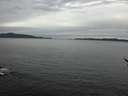 ./images/koeye/fitz-hugh/20170406/fitz-hugh20170406_095703.jpg