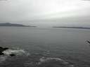 ./images/koeye/fitz-hugh/20170406/fitz-hugh20170406_121503.jpg