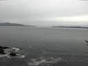 ./images/koeye/fitz-hugh/20170406/fitz-hugh20170406_122102.jpg