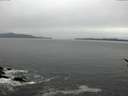 ./images/koeye/fitz-hugh/20170406/fitz-hugh20170406_122402.jpg