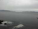 ./images/koeye/fitz-hugh/20170406/fitz-hugh20170406_122701.jpg