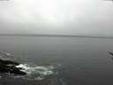 ./images/koeye/fitz-hugh/20170406/fitz-hugh20170406_135703.jpg