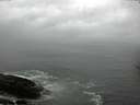 ./images/koeye/fitz-hugh/20170406/fitz-hugh20170406_155703.jpg