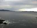 ./images/koeye/fitz-hugh/20170407/fitz-hugh20170407_075701.jpg