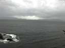 ./images/koeye/fitz-hugh/20170408/fitz-hugh20170408_095703.jpg