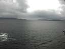 ./images/koeye/fitz-hugh/20170408/fitz-hugh20170408_115703.jpg
