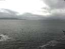 ./images/koeye/fitz-hugh/20170408/fitz-hugh20170408_122403.jpg