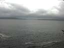 ./images/koeye/fitz-hugh/20170408/fitz-hugh20170408_122703.jpg