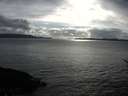 ./images/koeye/fitz-hugh/20170408/fitz-hugh20170408_175703.jpg