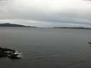 ./images/koeye/fitz-hugh/20170409/fitz-hugh20170409_095701.jpg