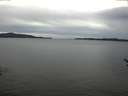 ./images/koeye/fitz-hugh/20170409/fitz-hugh20170409_122403.jpg