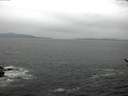 ./images/koeye/fitz-hugh/20170410/fitz-hugh20170410_115701.jpg