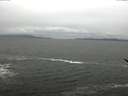 ./images/koeye/fitz-hugh/20170410/fitz-hugh20170410_135702.jpg