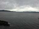 ./images/koeye/fitz-hugh/20170416/fitz-hugh20170416_135702.jpg