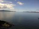 ./images/koeye/fitz-hugh/20170417/fitz-hugh20170417_115702.jpg