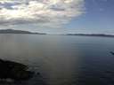 ./images/koeye/fitz-hugh/20170417/fitz-hugh20170417_121503.jpg