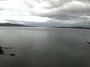 ./images/koeye/fitz-hugh/20170418/fitz-hugh20170418_055701.jpg