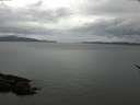 ./images/koeye/fitz-hugh/20170418/fitz-hugh20170418_095702.jpg