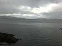 ./images/koeye/fitz-hugh/20170418/fitz-hugh20170418_121502.jpg